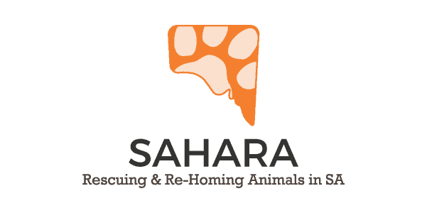 sahara@2x