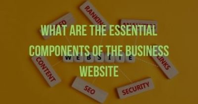 What Are The Essential Components Of The Business Website